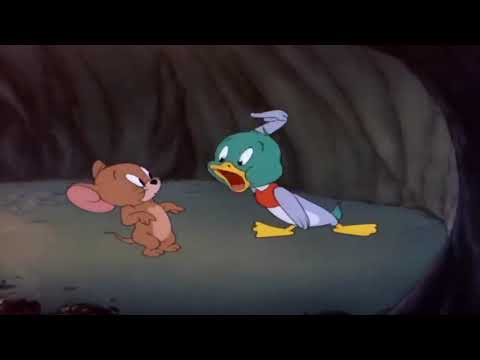 tom and jerry full episodes  The Duck Doctor Part 1