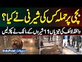 Whose Lioness Attacked The Girl? Wildlife Seize 11 Lions - Owner Of Lions Farm Told The Truth