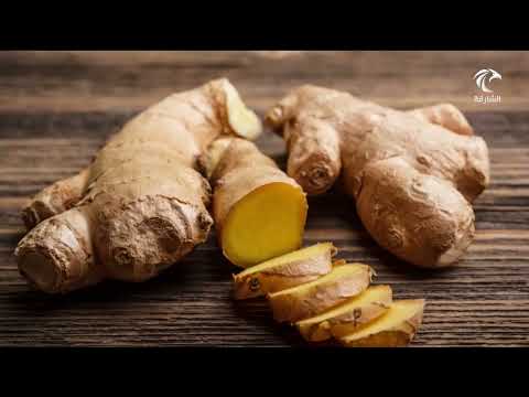 أخبار الدار الحديقة الإسلامية تنظم فعالية حياة نبتة العنب للتعريف بها