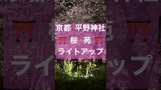 京都 平野神社 桜苑 ライトアップ Shorts Youtube