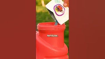 Avoid This Fertilizer Mistake! ⚠