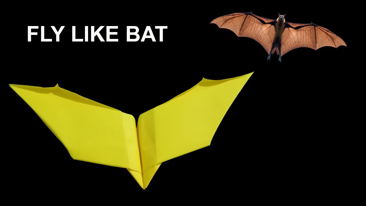 How to Make a Paper Plane Fly Like a Bat by John Collins YouTube