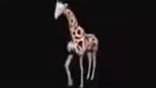 Eternal Klani Herkesi̇ Dövüryor Warband En İyi̇ Klan Elraen Ağladi 16