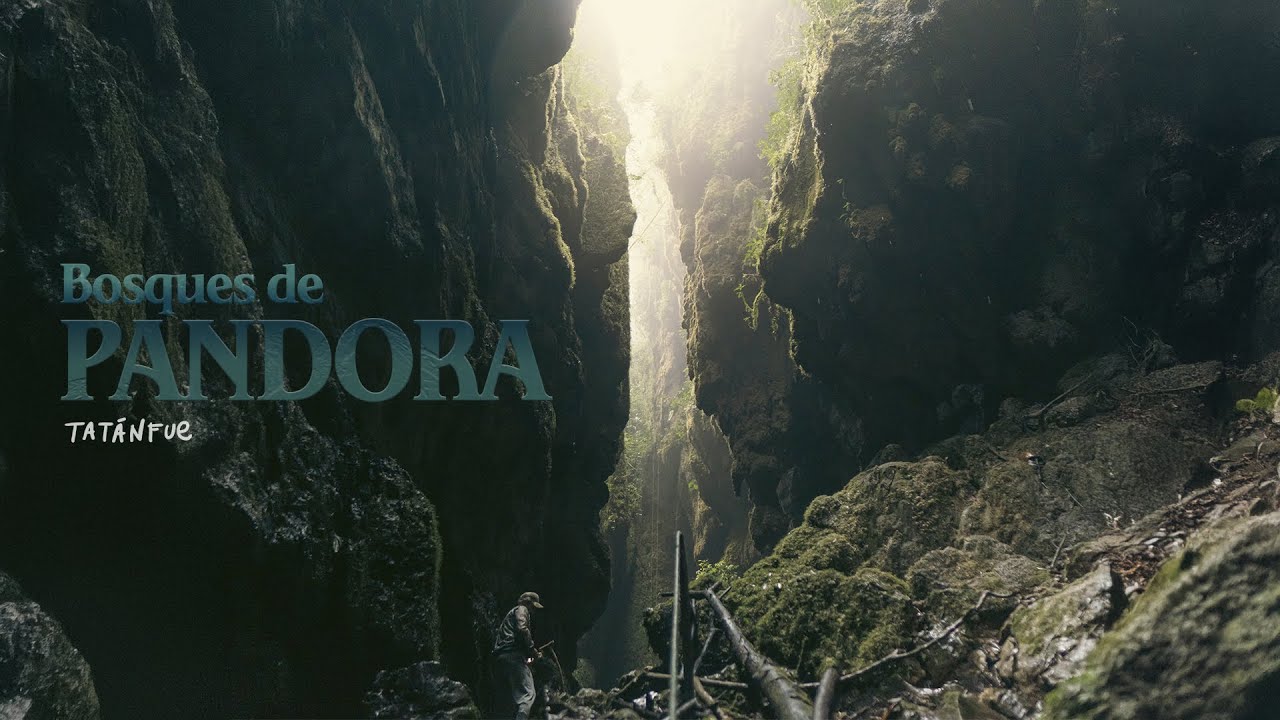 Un paraíso de película escondido en Santander - El Corazón de Colombia