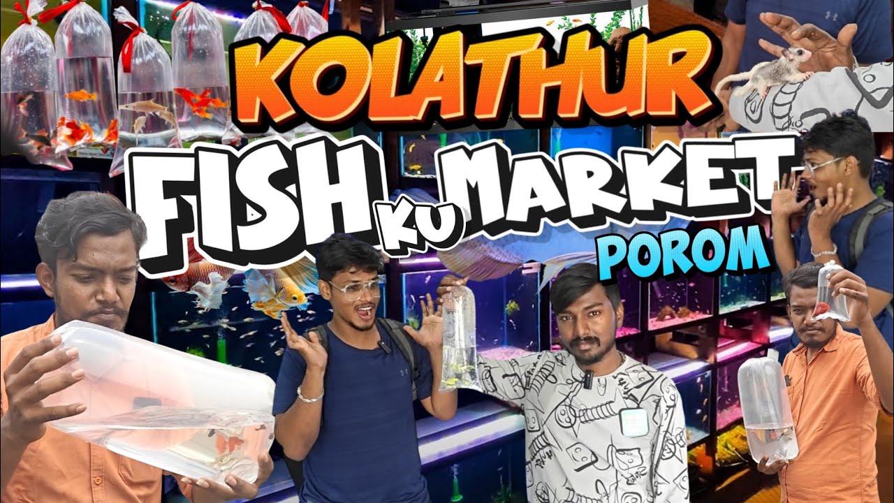 Kolathur Fish Market ku Porom Guys 💥😱🥳||Fun Vlog||Vlog No - 8|| Irungaboys ||