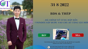 31-8-2022: BDS & THÉP đã chỉnh về vùng hấp dẫn - Vnindex sắp bước vào chu kì tăng giá mới