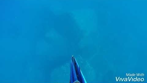 Deep scary Maui Ulua