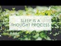 Sleep is a thought process