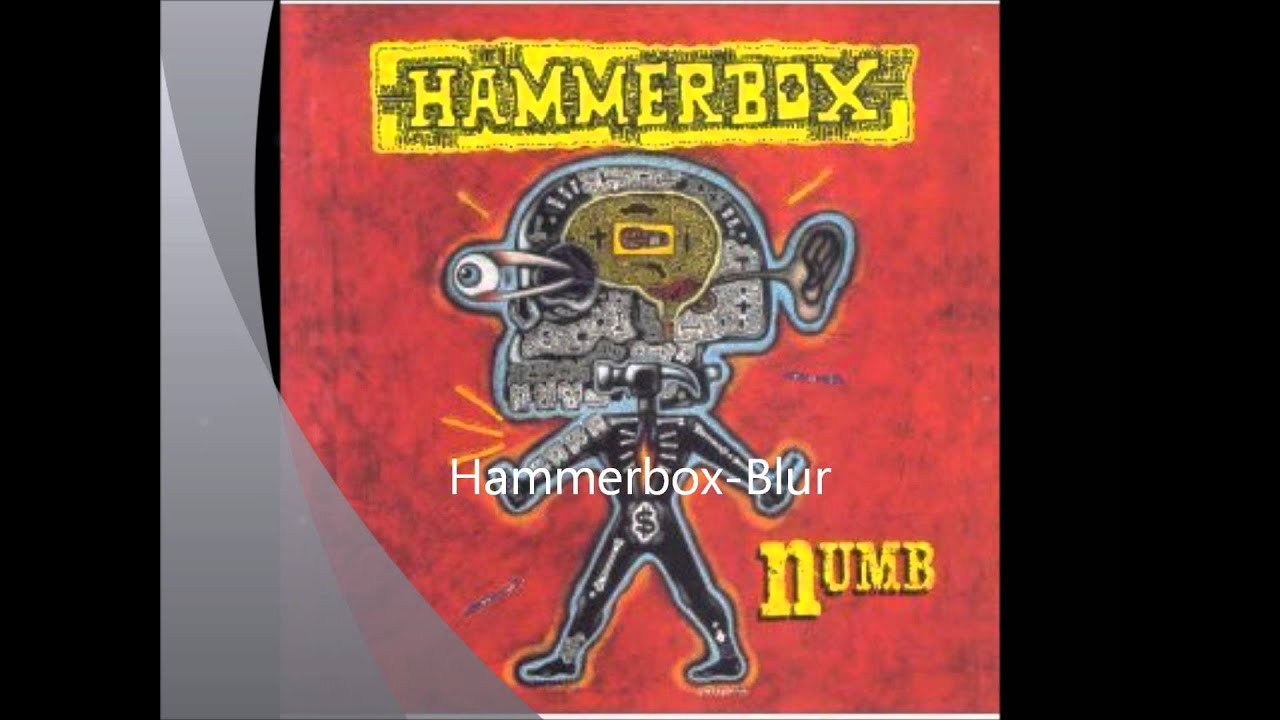 hammerbox band