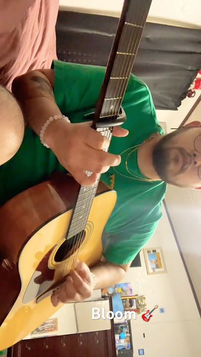 The Paper Kites- Bloom 💕 #guitar #acousticguitar # #acousticsong #acousticcover #fingerstyle #bloom