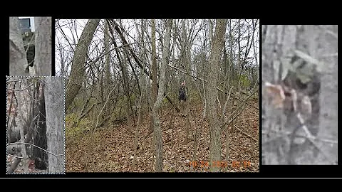 Thanksgiving Bigfoot Field Research with Eric Gibb...