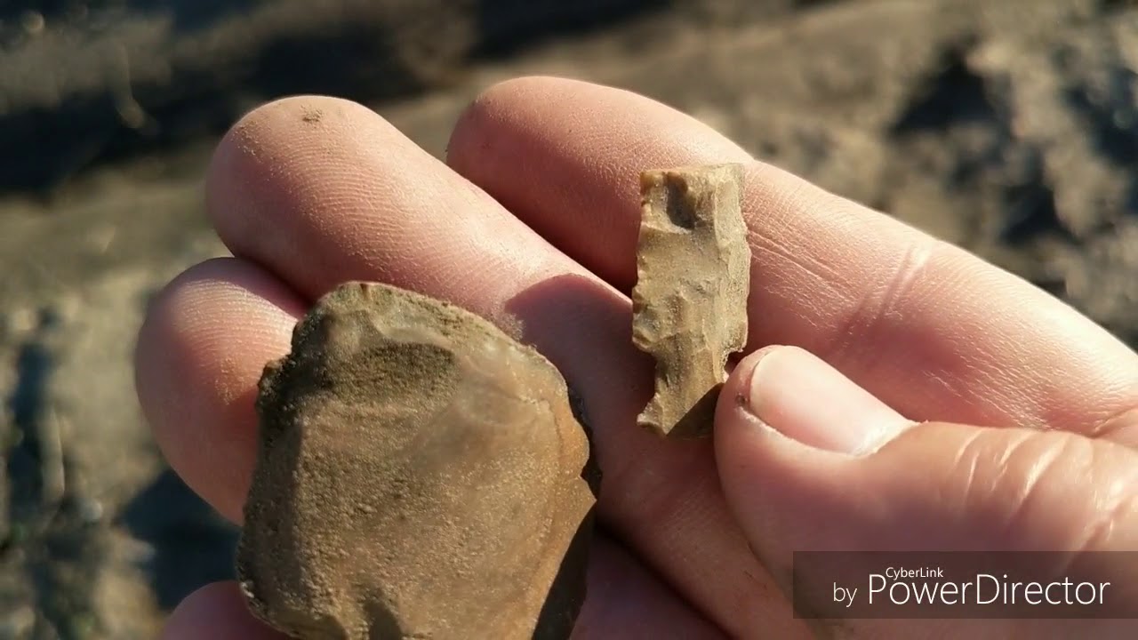 Louisiana metal detecting YouTube