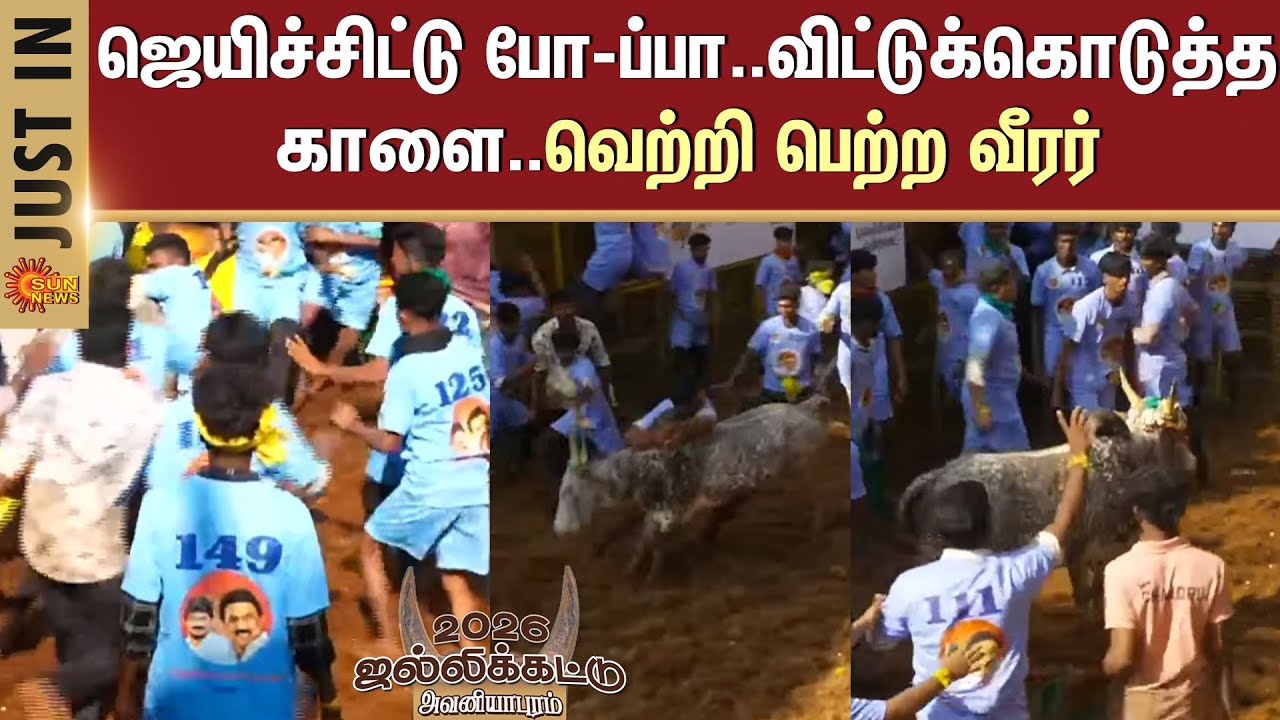 Avaniyapuram Jallikattu - 2026 | ஜெயிச்சிட்டு போப்பா..விட்டுக்கொடுத்த காளை..வெற்றி பெற்ற வீரர்