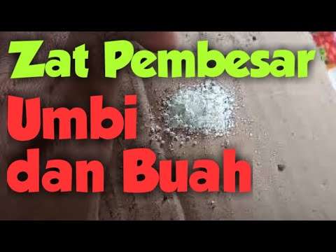 Video: Sodium Tetraborate - Petunjuk, Indikasi, Aplikasi