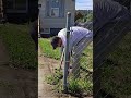 Satisfying yard cleanup transformation! 🌳 #cleanup #lawncare #fyp