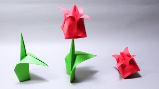 Cách Gấp Hoa Tulip Đơn Giản Bằng Giấy