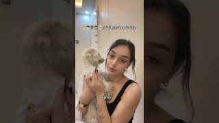 Eğitimin Öneminin En Güzel Örneği Şfet Şfetaçıl Şfetol Şfetedüş Şfetküsmüyüz