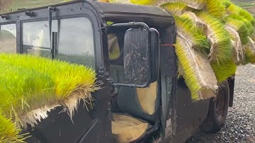 Warrior Rizen Ranch FODDER  SYSTEM