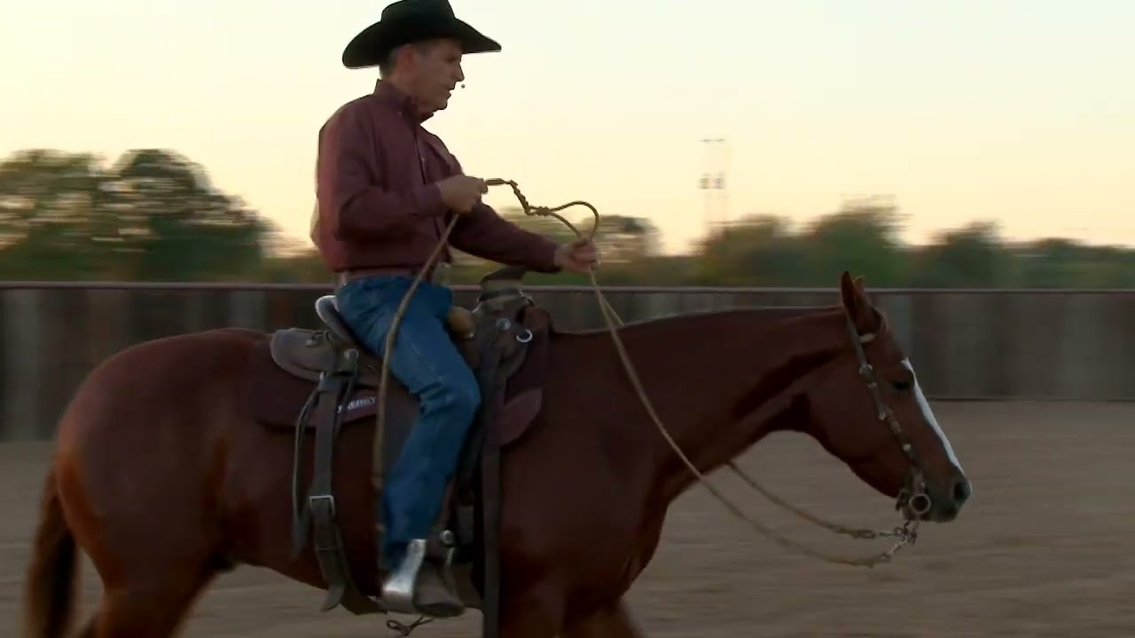 Handling Romel Reins
