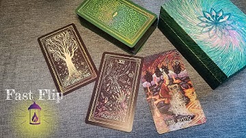 The Cosma Visions Oracle Fast Flip, Kickstarter