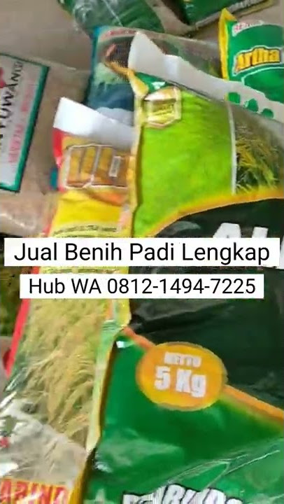 JUAL BENIH PADI MURAH LENGKAP WA 0812-1494-7225