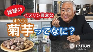 イヌリン豊富な話題の「菊芋」ってなに？