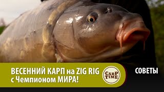 ВЕСЕННИЙ КАРП на ZIG RIG  с Чемпионом МИРА! СОВЕТЫ