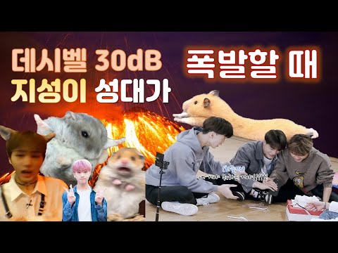 [NCT/지성] 지성이 성대 폭발(?)모음.zip (JISUNG WITH BIG VOICE)