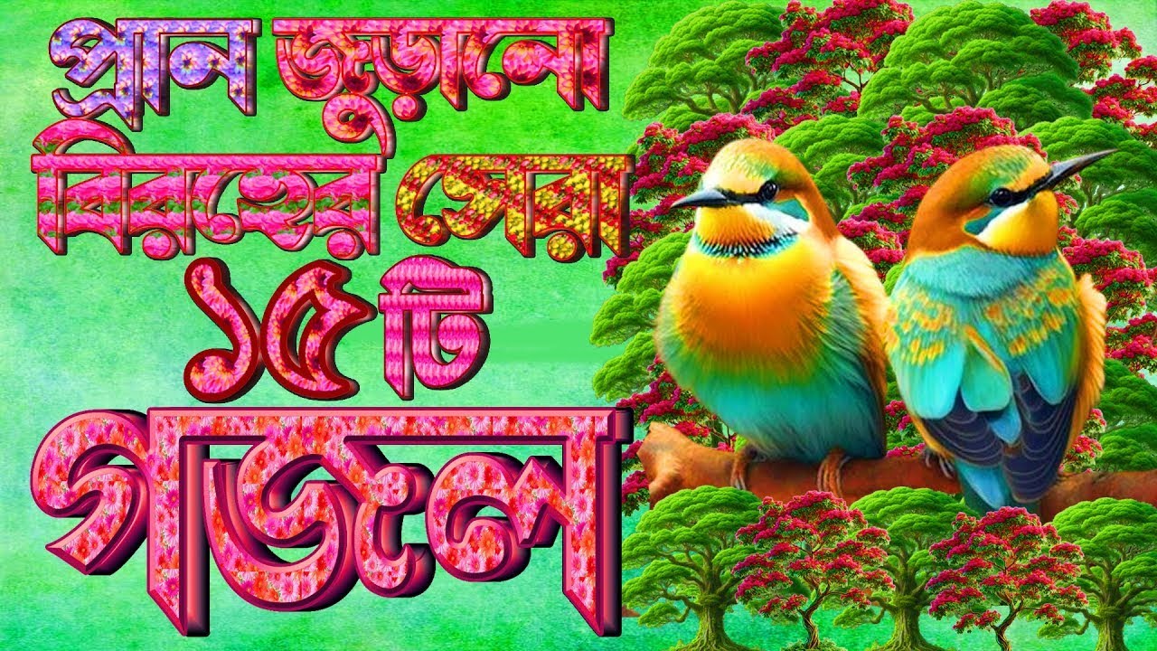 সকলের পছন্দের ১৫টি গজল |বাচাই করা গজল ||Selected Gajal |Islamic Bangla Gojol |New Bangla Gazal