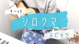 Video thumbnail of "シロクマ/スピッツ　ギター弾き語り　歌詞コード付き　女性キー+3"