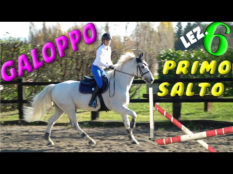 A SCUOLA DI EQUITAZIONE ABC 🐎 - IL GALOPPO e PRIMO SALTO - LEZ. 6