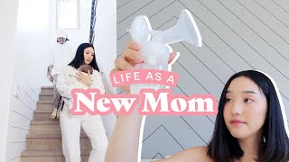 Life As A New Mom | November Vlog