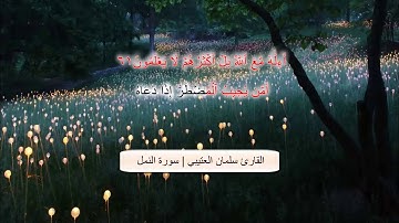 القارئ سلمان العتيبي تلاوة خاشعة  سورة النمل
