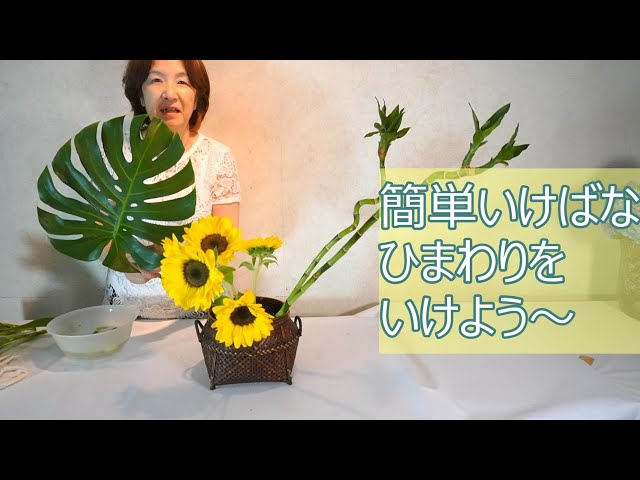 Easy Ikebana - Let's arrange sunflowers] _Monstera_Sogetsu Ikebana