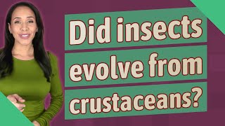 Did insects evolve from crustaceans