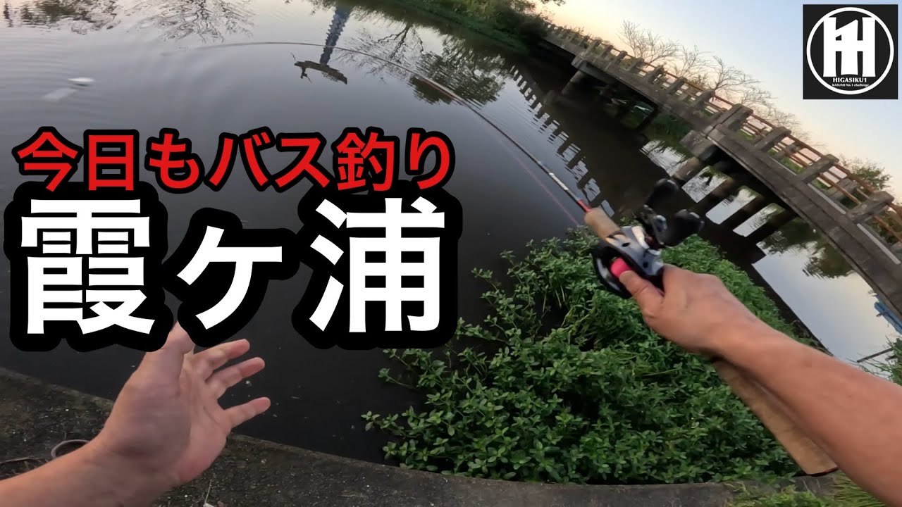 バス釣り霞ヶ浦！メガバス縛り？ジャマイカボア、SV-32026年10月2日
