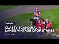 Classic hero Scandinavia makes triumphant return | Full Race | Racing TV