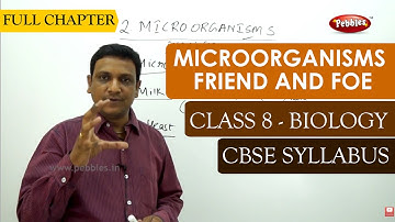 Microorganisms Friend and Foe full lesson | Biology | Class 8 | CBSE Syllabus