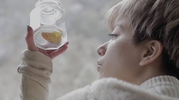 短編映画『冬の蝶』予告｜ユーロスペース公開