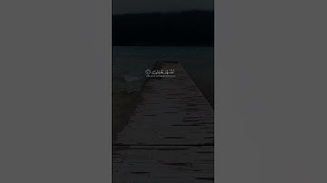(وما كان الله ليظلمهم ولكن كانوا أنفسهم يظلمون )تلاوه هادئة تريح القلب⁦♥️⁩ للقارئ ⁦🎙️عبد الرحمن مسعد
