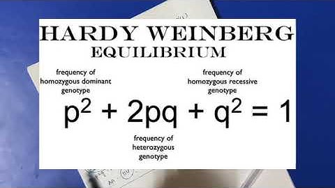 Hardy Weinberg Law and tricks to solve questions based on Populations genetics