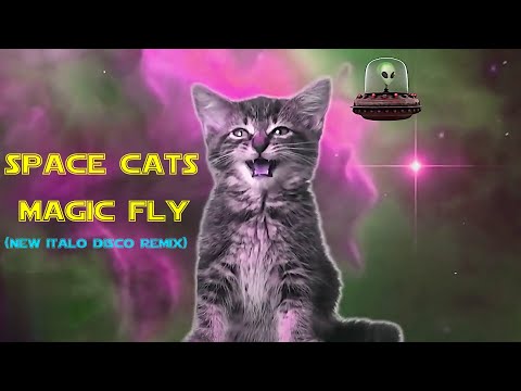SPACE CATS - MAGIC FLY (New Italo Disco Remix)