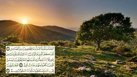 صفحة-120 page سعد الغامدي - -سورةالمائدة -Al-Maidaa