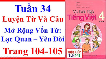 Vở Bài Tập Tiếng Việt Lớp 4 | Tuần 34 | Luyện Từ Và Câu | Mở Rộng Vốn Từ: Lạc Quan Yêu Đời Trang 104