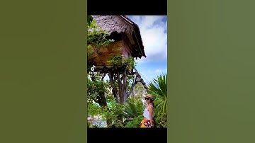 Tree house Nusu Penida, Bali Indonesia. Diamond beach