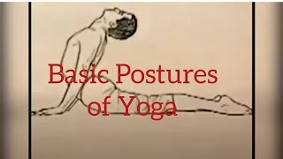 Basic Postures of Yoga