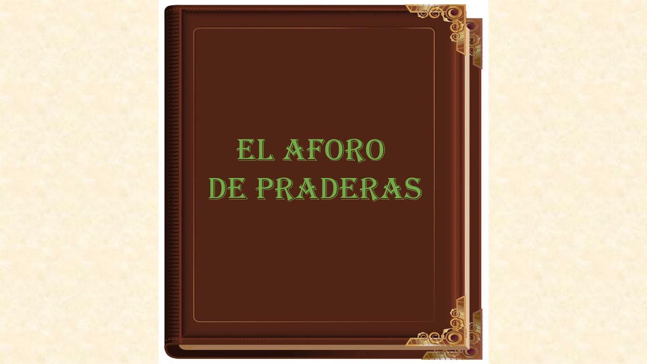 EL AFORO DE PRADERAS /THE CAPACITY OF PRADERAS