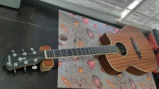 : -  Ibanez AEG 7 MH. .