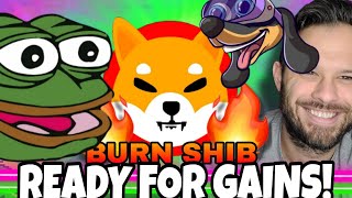 Shiba Inu Coin & PEPE Soar In Profit! Crypto Wil Begin To Flow In Here!