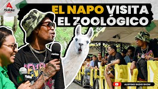 EL NAPO VISITA EL ZOOLOGICO &amp; SE VE DE FRENTE CON LOS LEONES (EXCURSION CON ALOFOKE RADIO SHOW)
